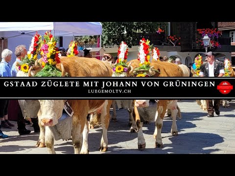 Gstaad Züglete mit Familie Johann Von Grünigen - Alpabzug Gstaad - LuegemolTV