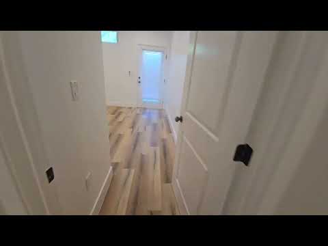 St Elmo(4537) - Video 2 of 2