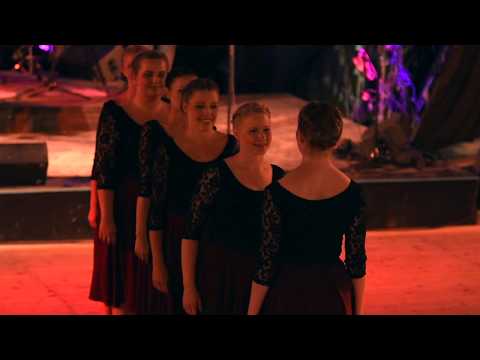 Phønix & Embla - Rønnild