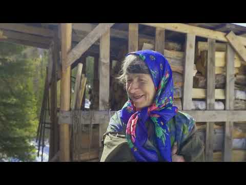 Bären besuchen Agafia, die russische Einsiedlerin. seit 80 Jahren allein in der sibirischen Wildnis