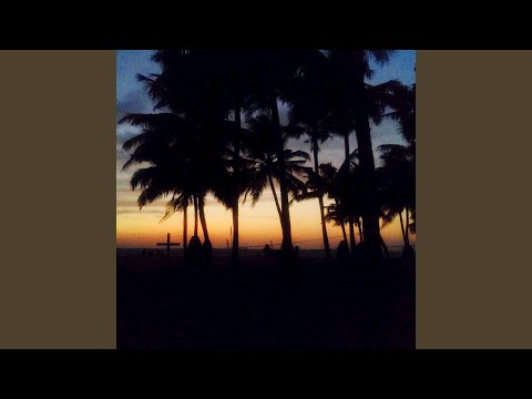 Download Accidental Allies Adorable Fever Mp3 dan Mp4 2019