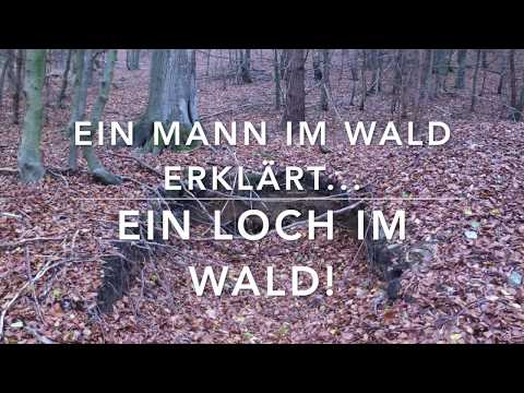 Who's always digging these holes in the forest? Basics of soil science