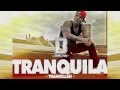 J Balvin - Tranquila | Official lyrics | Reggaeton ...