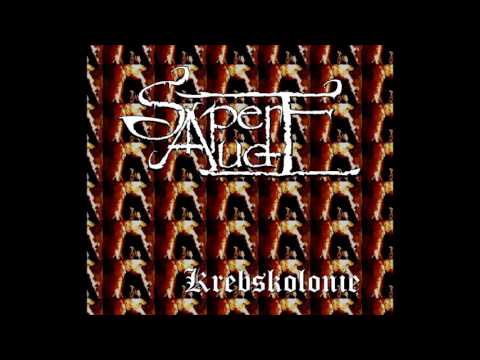 Sapere Aude - Krebskolonie [Eisregen Cover] 2016