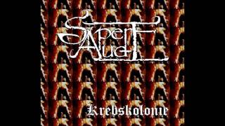 Sapere Aude - Krebskolonie [Eisregen Cover] 2016