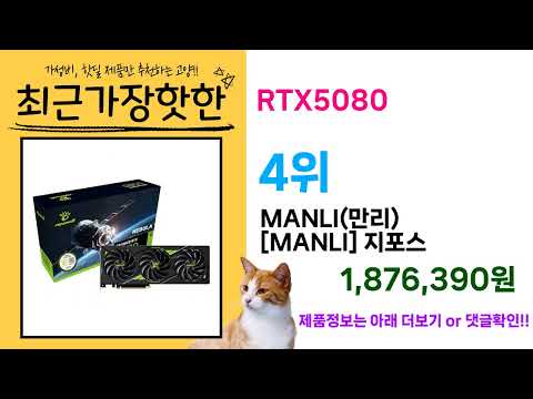 ( RTX5080 ) 이 가격 실화냐? 인기 제품 특가 리뷰 모음
