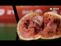 Lindan Smash The Shuttle INTO The Watermelon