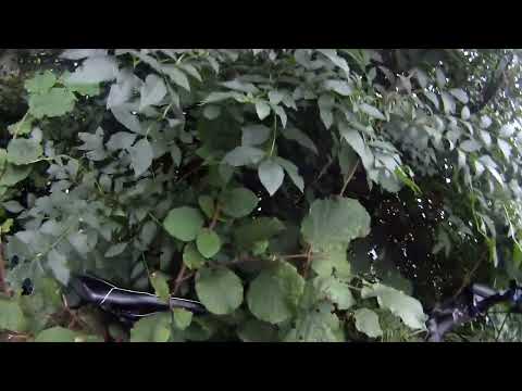 gefilmd einekoeze  1 okt 22