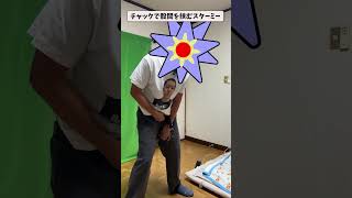チャックのあれで挟まれるスターミー #ものまね#コント#ネタ