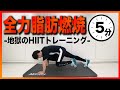 【5分集中】マンションOK！飛ばずに脂肪を燃やしまくる！９種目腹筋バキバキトレーニング【地獄のHIIT】