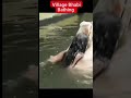 Sexy Video Shorts Sexy