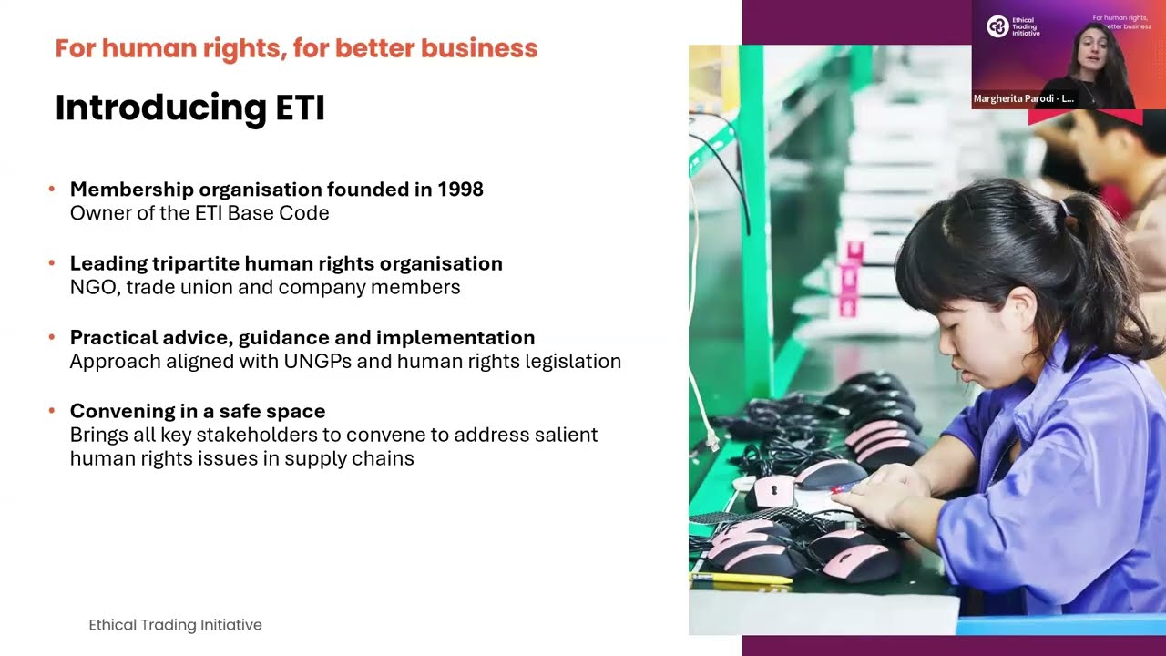ETI Insights: Human rights & environmental due diligence laws - what this means for business