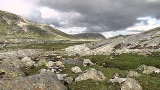 Børgefjell sommeren 2010