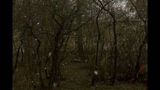 Beach House - Gila (slowed + reverb)