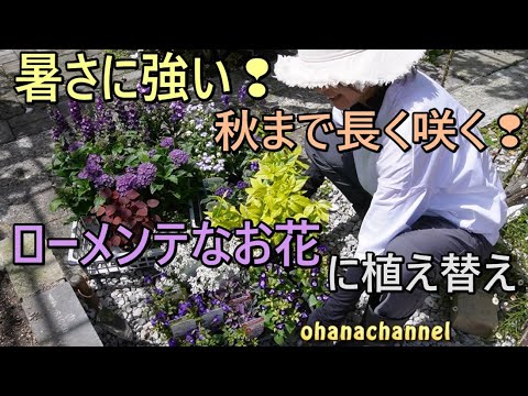 水やりをせずにプランター用に植物を植える侵略的な観賞用草のアイデア