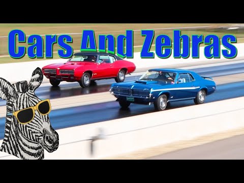 1969 Cougar Cobra Jet vs 1969 GTO Ram Air | STOCK DRAG RACE | CARS AND ZEBRAS