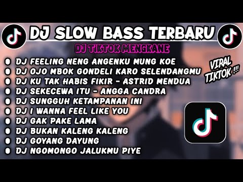 DJ SLOWBASS TERBARU 2024 || DJ FEELING NENG ANGENKU MUNG KOE X DJ SELENDANG BIRU X DJ LAMUNAN