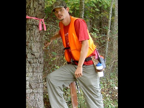 Master Roshi's Ball Z Deep House King Kai Remix