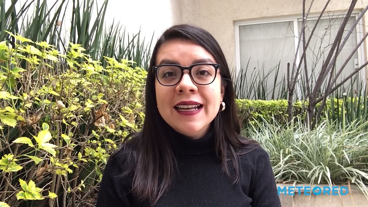 youtube video id=u_xQ-Zwp1xU