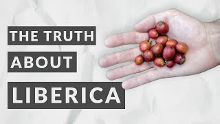 The Truth About Liberica Coffee | Interview: Dr. Steffen Schwarz