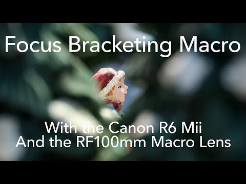 Canon R6 II: Focus bracketing (macro)