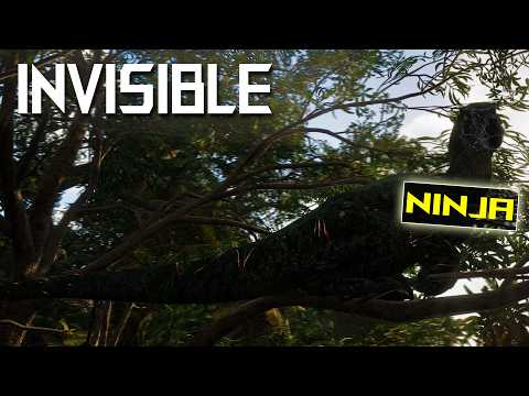 You Literally Can’t See This Omniraptor | The Isle EVRIMA