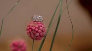 03-sept-2016 Engagement party