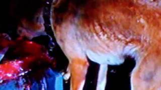 Skinny Puppy - Ghostman fan video