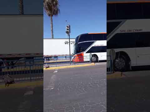 Bus Cejer, destino: Salamanca pasando por Puerto de Coquimbo 🚌 #Automobile #Busologia #Bus #Cejer