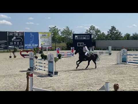 Don Nero Z - Wuustwezel - 1.25M