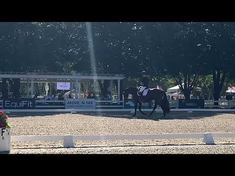 Fürstenbelle FEI 5 year old test