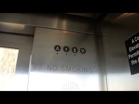 Scenic ThyssenKrupp Traction Elevator at Vulcan Park Observation Tower – Birmingham, AL