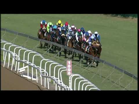20200620 Hollywoodbets Greyville express clip Race 6 won by MIYABI GOLD