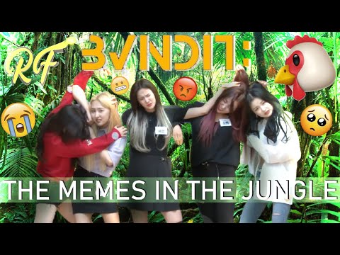 BVNDIT: The Memes in the Jungle
