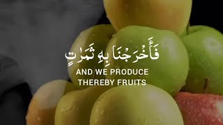 Download lagu ۞Surah Fatir۞ 📖Verse  27-28 🎙️ Sheikh yasser Dossary mp3