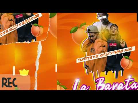 La Barata 💰(Audio Official) + Yandito ,El Nassy ❌ Iroso Umbo(Cyborg Records ❌ Pulpomania La favela)