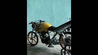 Download lagu STORY WA HEREX TIGER KUNING NIHH mp3 Download lagu STORY WA HEREX TIGER KUNING NIHH mp3