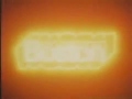 WGBH Boston 1977
