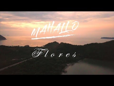 Mahallo - Flores (Clipe)