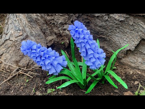 ABC TV | How To Make Easy Muscari From Crepe Paper - Craft Tutorial