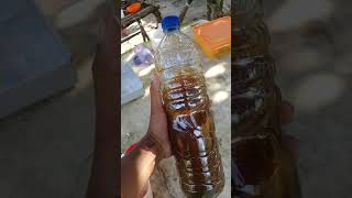 Download lagu Aplikasi pupuk eco farming pada tanaman durian part1 mp3