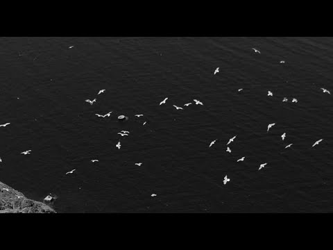 Sainte Colombe: Les Pleurs