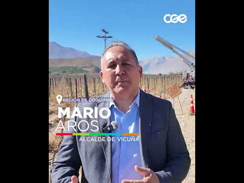 Plan Piloto de protección de aves y redes eléctricas en Vicuña, región de Coquimbo.