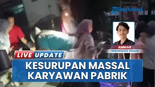 Puluhan Karyawan Pabrik Konveksi Kesurupan Massal, Diduga Gegara Pohon Tumbang