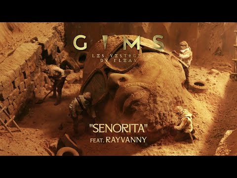 GIMS - SEÑORITA feat. Rayvanny (Audio Officiel)