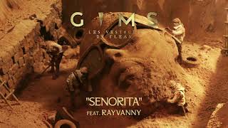 GIMS - SEÑORITA feat. Rayvanny (Audio Officiel)