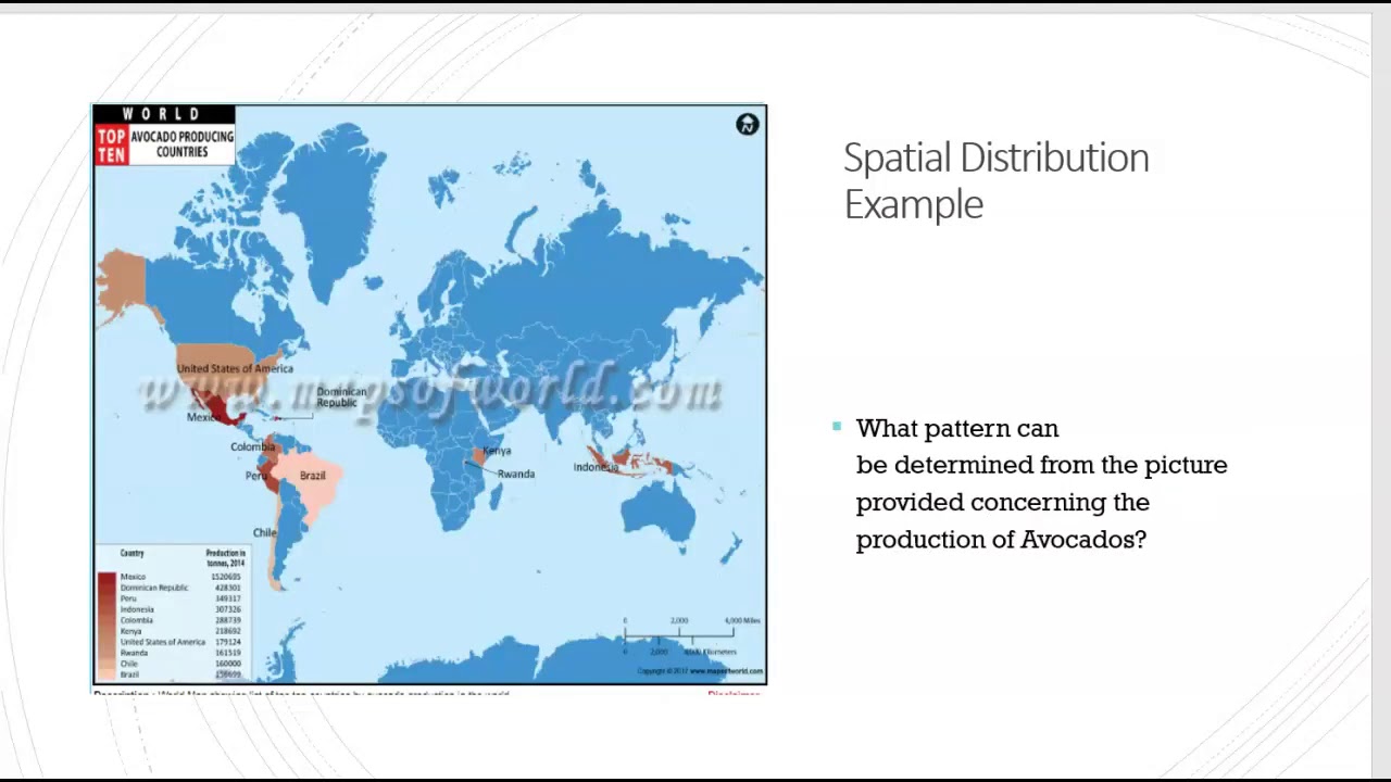 Spatial Distribution Patterns