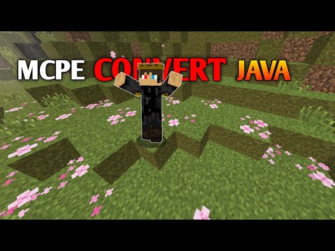 Transform Minecraft PE to Java w/ 3 settings!