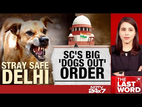 Stray Dog Attack | Big Supreme Court Order On India's Stray Dog Menace