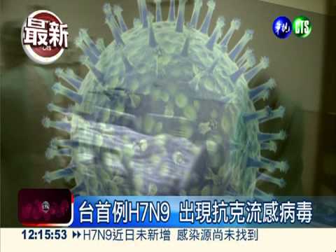 台首例H7N9 出現抗克流感病毒